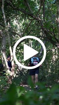 BIB:  <button type="button" onclick="openModal(28083169)" class="btn btn-primary btn-sm float-right" data-toggle="modal" data-target=".modal-high-quality">
                <i class="fa fa-download"></i> Download
                </button>